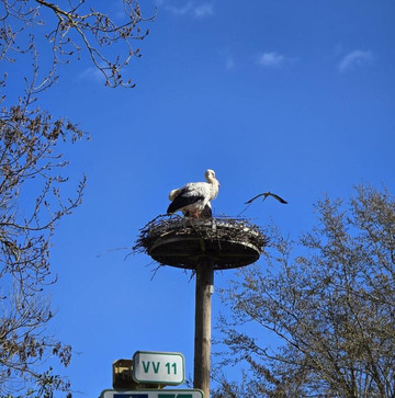 Parc À Cigognes-Cernay必去景点