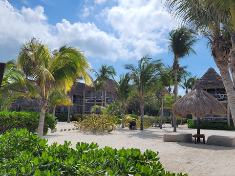 Santi Tour-普拉亚德尔卡曼必去景点