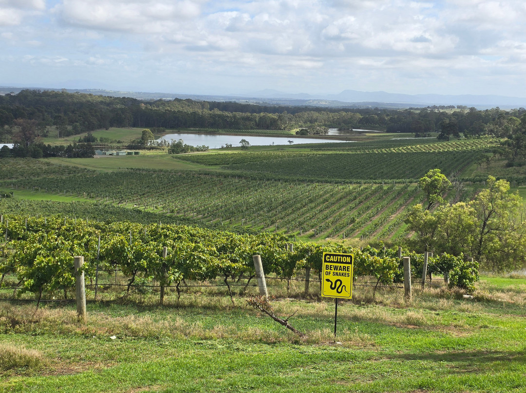 奥德丽维尔金森酒庄-波高尔宾必去景点