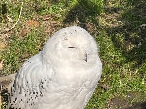 Landgoed Hoenderdaell-Anna Paulowna必去景点