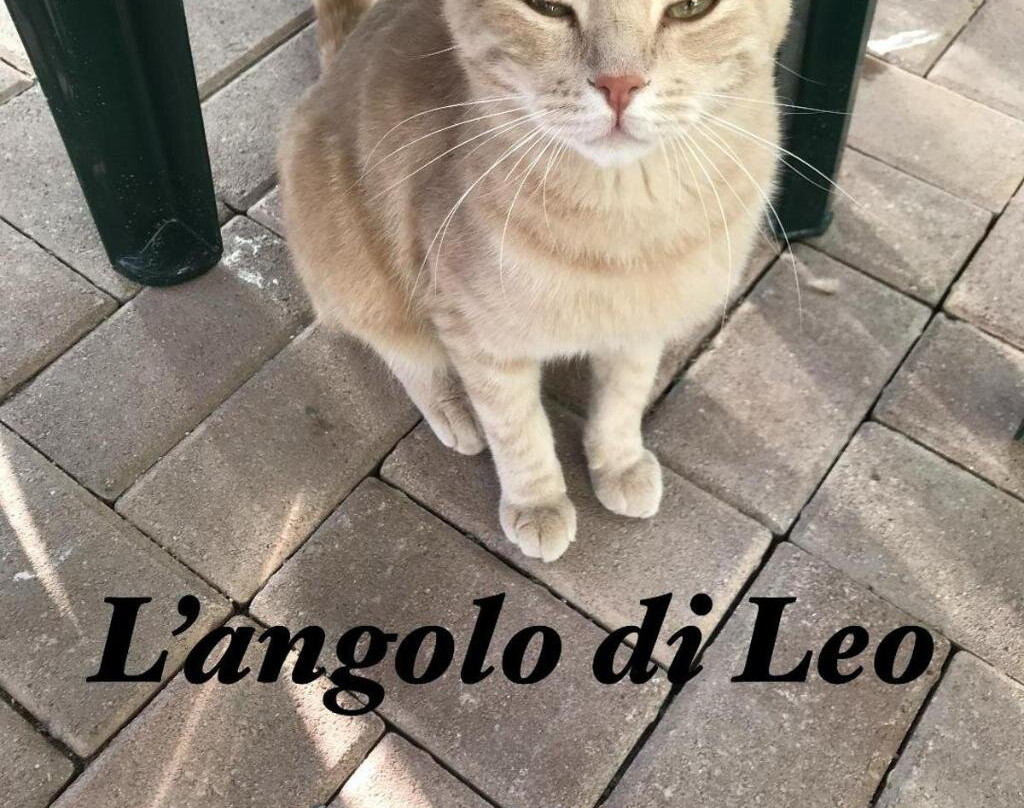 L'Angolo di Leo