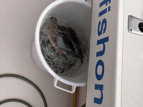 Fish On-San Bartolome de Tirajana必去景点