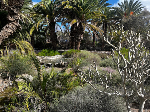 Parque Tony Gallardo-马斯帕洛马斯必去景点