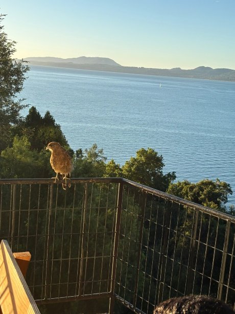 昂特马拉尔酒店-官方