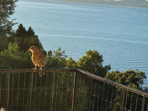 昂特马拉尔酒店主图