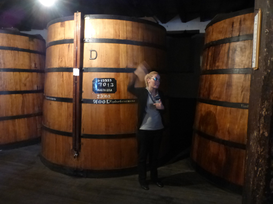 Blandy's Wine Lodge-沙尔必去景点