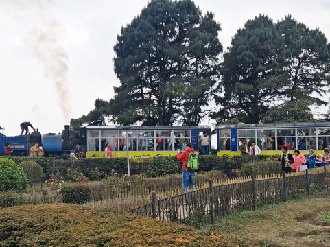 Batasia Loop-大吉岭必去景点