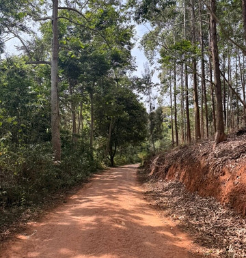Usambara Eco Tours-卢绍托必去景点