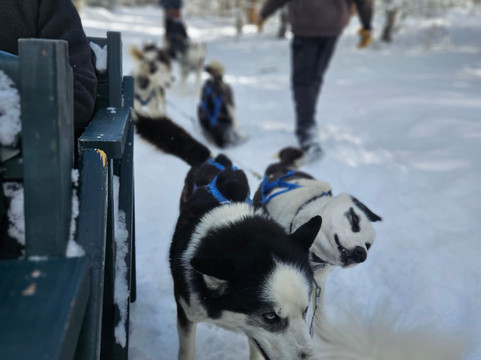 Good Times Adventures-布雷肯里奇必去景点