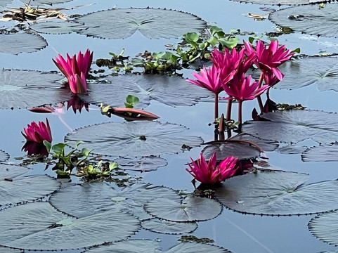 安亚纳家庭旅馆主图