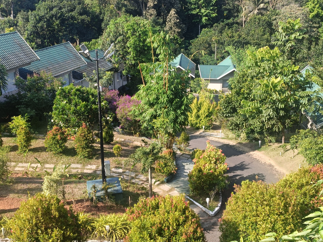 阿韦达满纳山区和雾气主图