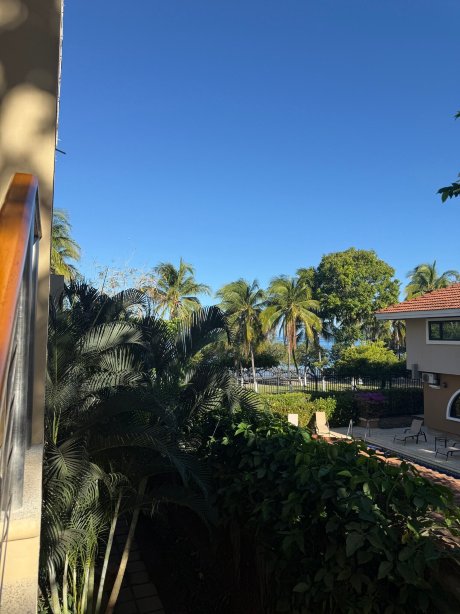 Hotel la Gaviota Tropical-官方