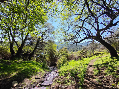 Monfrague National Park-Villarreal de San Carlos必去景点