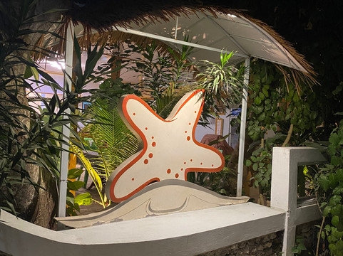 马尔代夫海滩之星主图