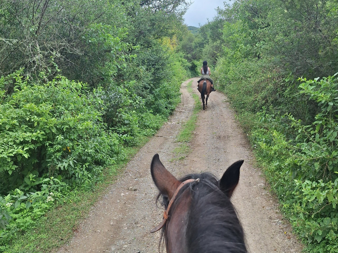 Cabalgatas Gauchas-萨尔塔必去景点