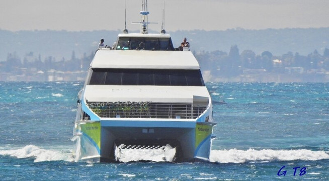 Rottnest Fast Ferries - Day Tours-拉瑞斯必去景点