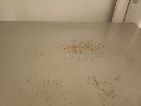 默里旅馆与艺廊酒店主图