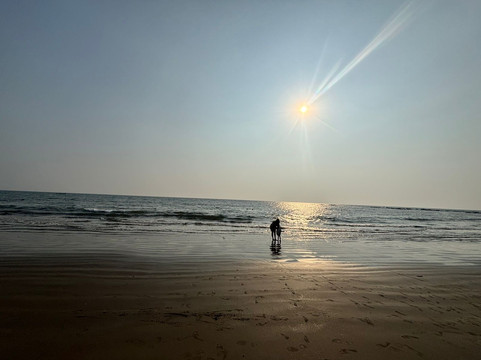 White Wharf Beach Resort Morjim Goa