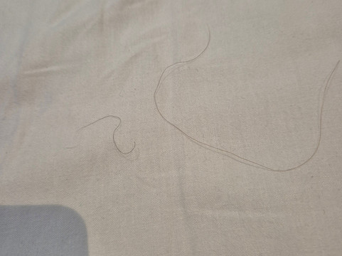 庞蒂浦新城贝斯特韦斯特酒店主图