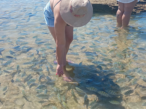 Maceió Passeios Guia Privativo Transfer - Maykon Tur-Maceio必去景点