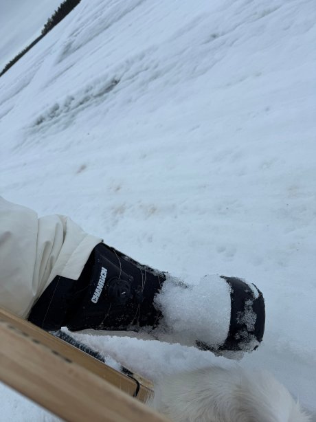 内利姆和冰屋荒野酒店-官方
