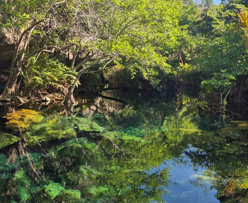 The Cenote Guy - Cenote Diving-普拉亚德尔卡曼必去景点