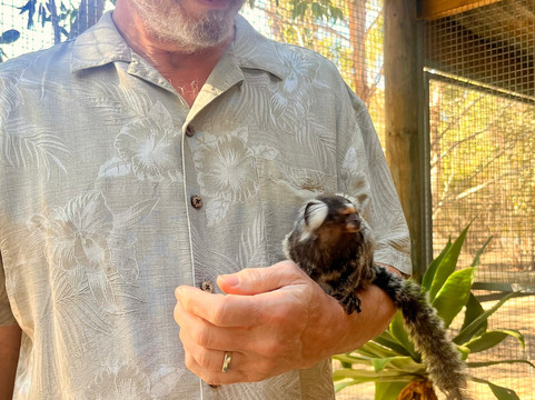 Kangaroo Island Wildlife Park-塞登必去景点