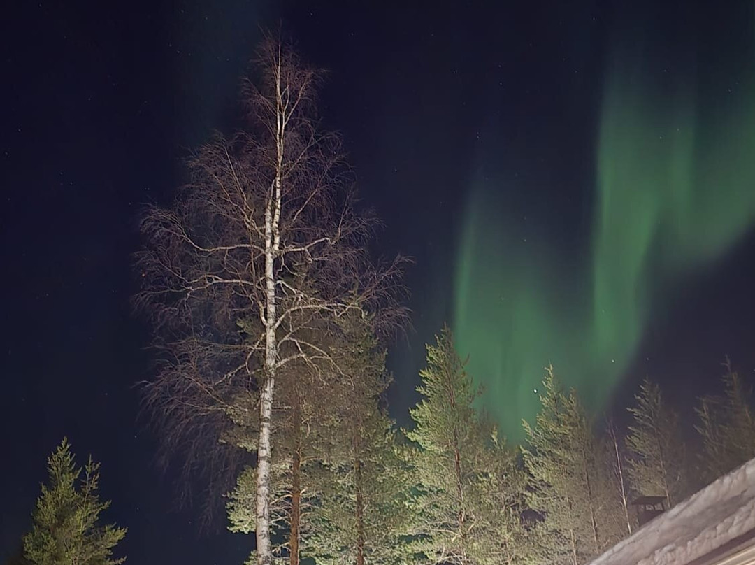 North Wind Lapland-Yllasjarvi必去景点