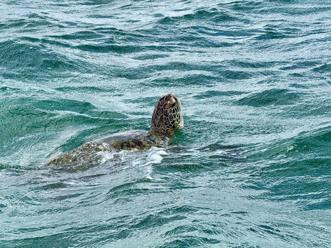 Belinda Boat Tour-贝尔马尔必去景点