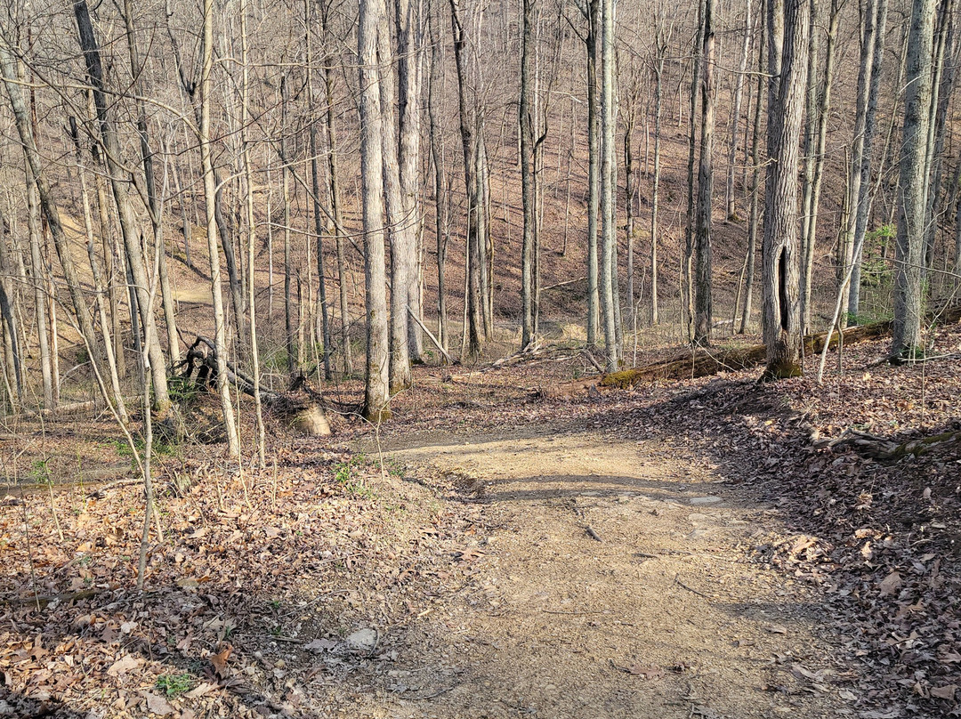 Armco Park-Ashland必去景点