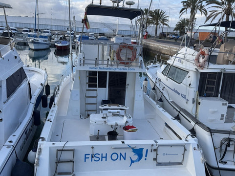 Fish On-San Bartolome de Tirajana必去景点