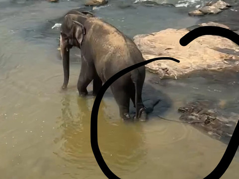 大象公园酒店主图