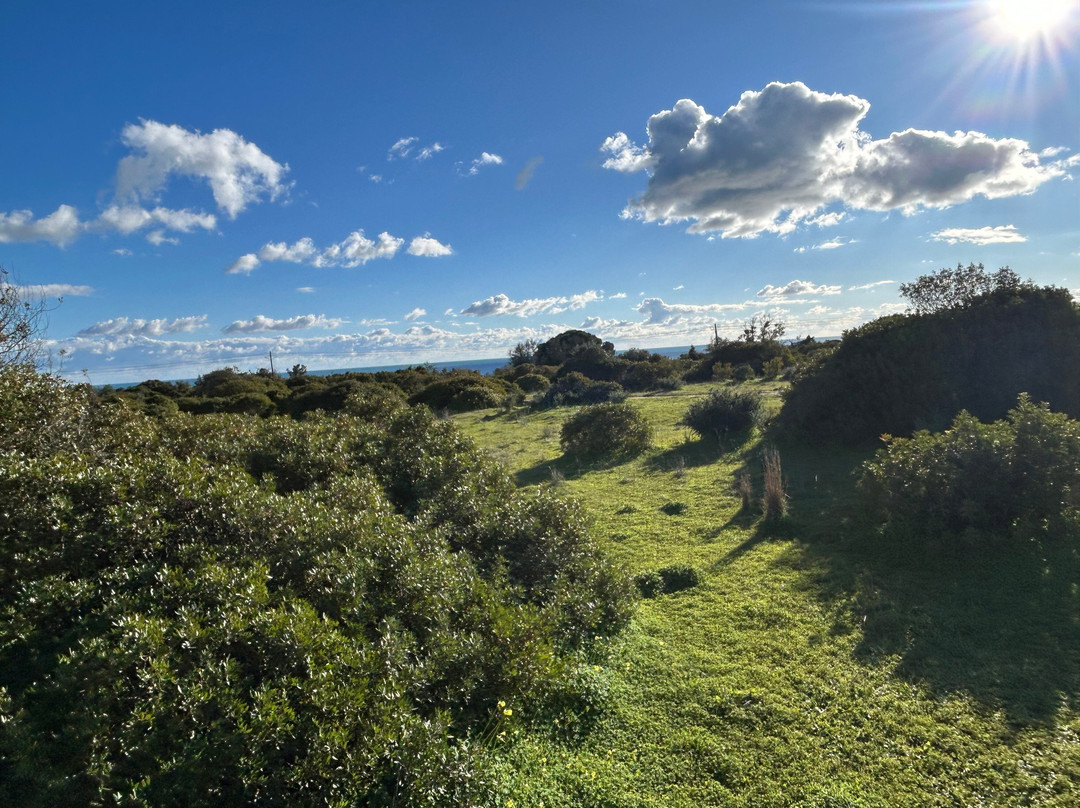 Solid Rocks Algarve Horse Trail Adventures-Porches必去景点