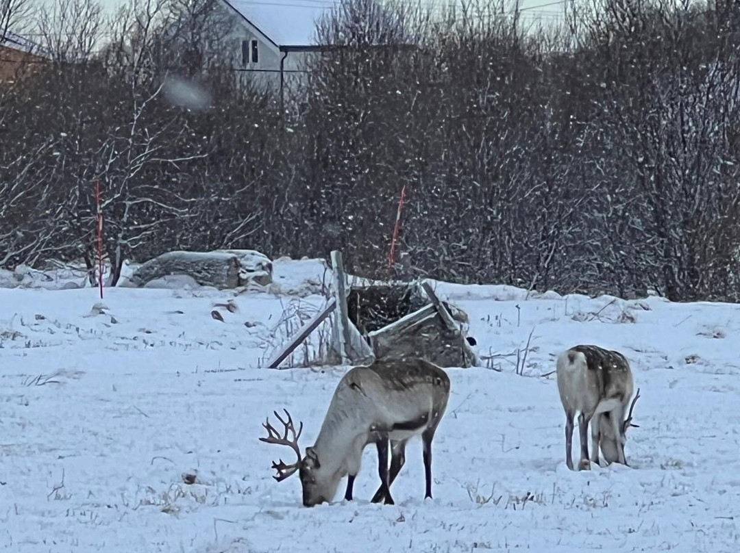 MilleMonti-布雷西亚必去景点
