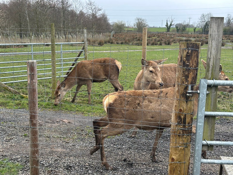Walby Farm Park-Crosby on Eden必去景点