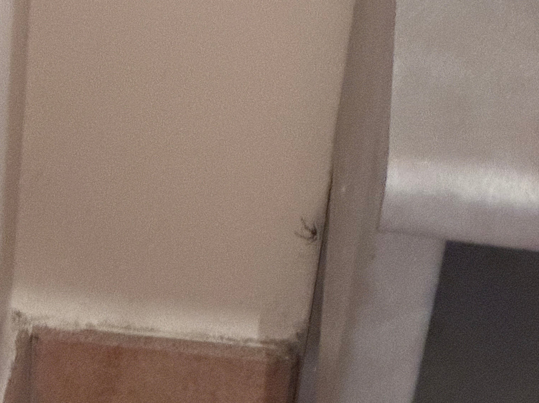 拉文纳汽车酒店主图