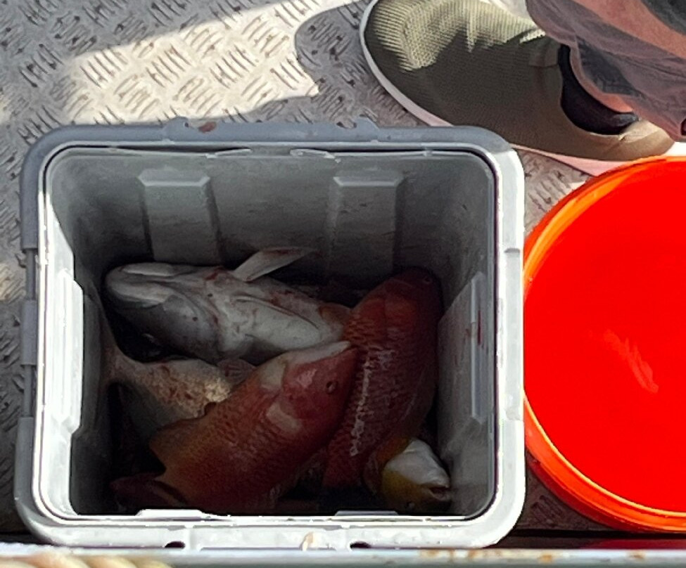 Fiordland Expeditions - Doubtful Sound Overnight Cruises & Multi Day Charters-马纳普里必去景点