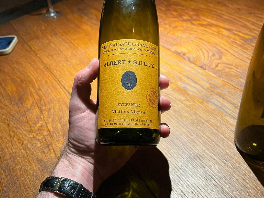 Domaine Albert Seltz-米特贝汉必去景点
