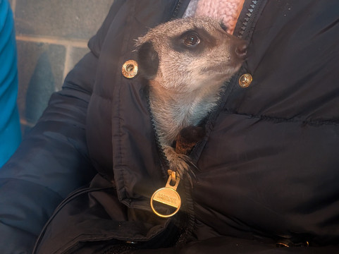 Bridlington Animal Park-布里德灵顿必去景点