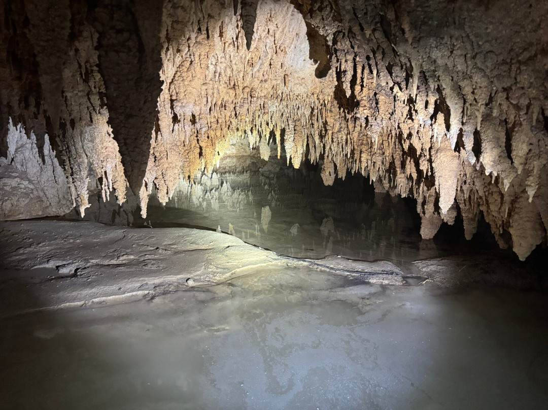 Akumal Monkey Sanctuary & Rescued Animals-艾库玛尔必去景点