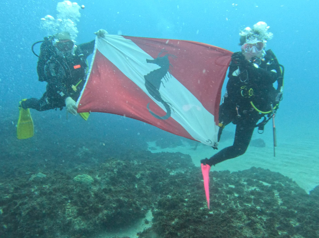 Aliwal Shoal Adventures-Umkomaas必去景点