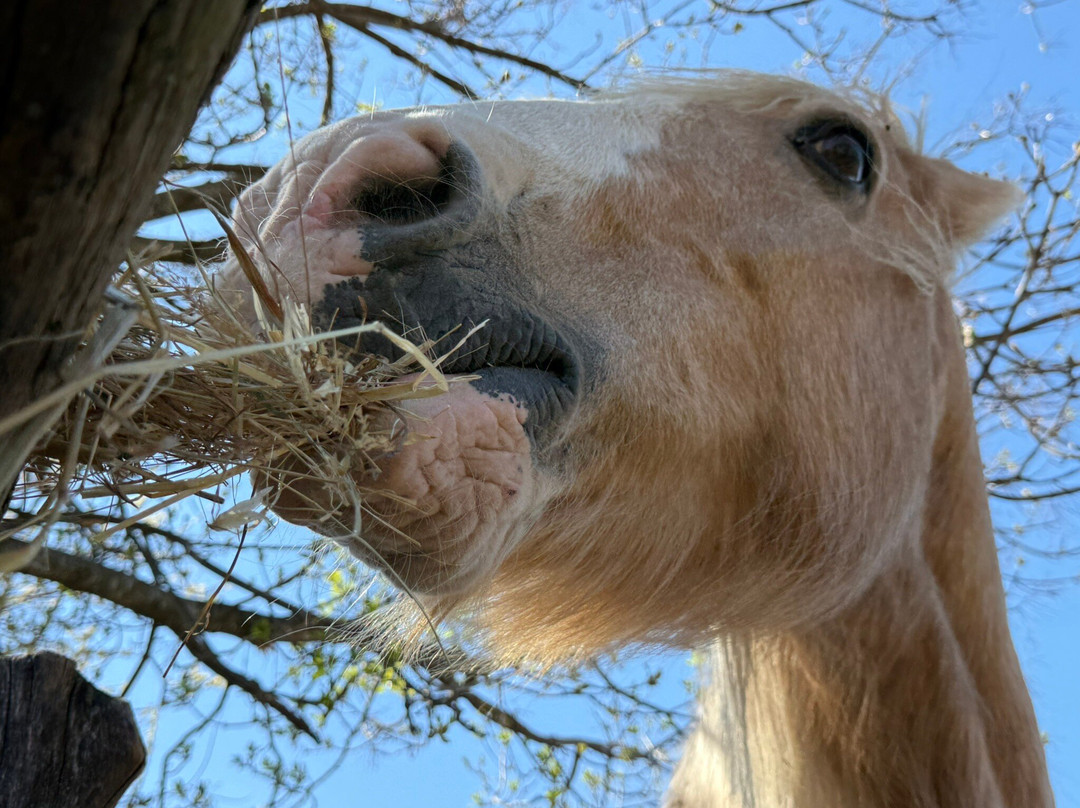 Sulla Collina di Castelnuovo di Farfa-Castelnuovo di Farfa必去景点