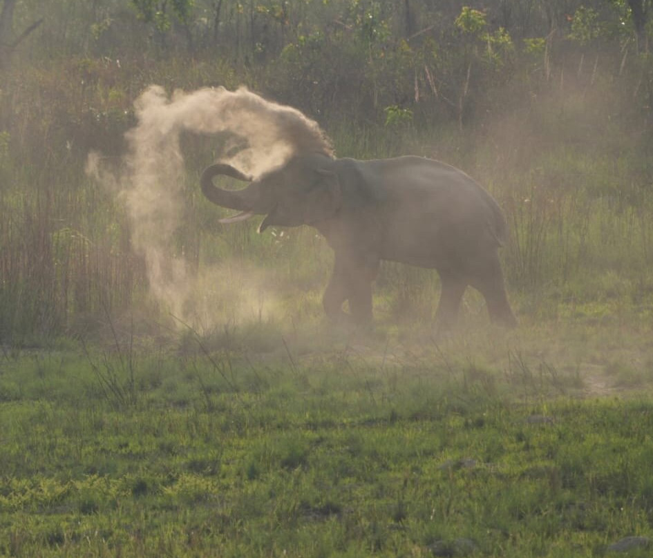 Bardia Homestay Pvt. Ltd.主图