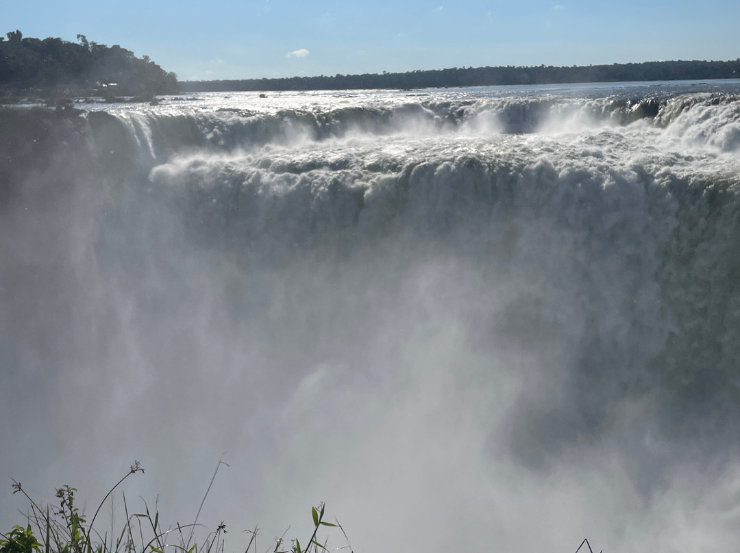 Iguazu Jungle-伊瓜苏港必去景点