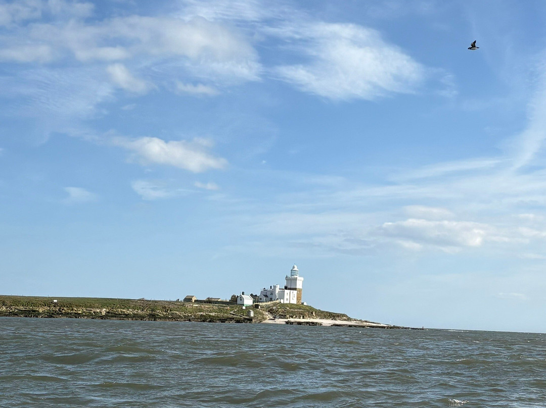 Puffin Cruises-Amble必去景点