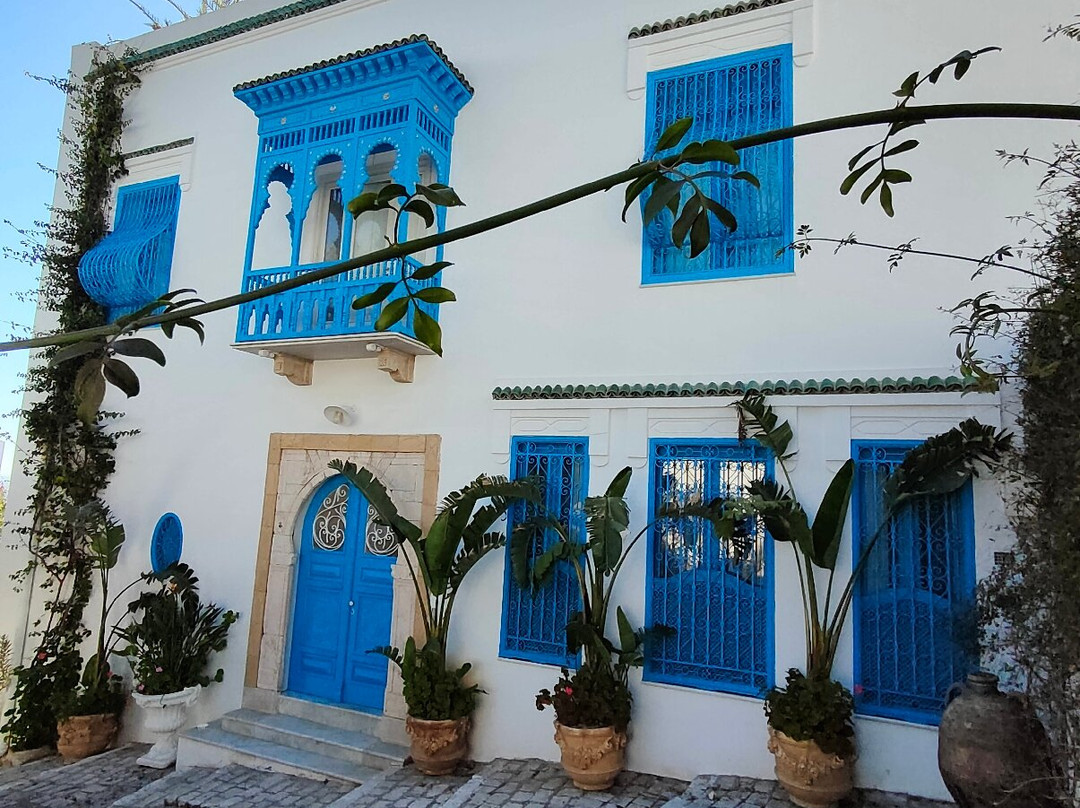 Sidi Bou Said Village-蓝白小镇必去景点