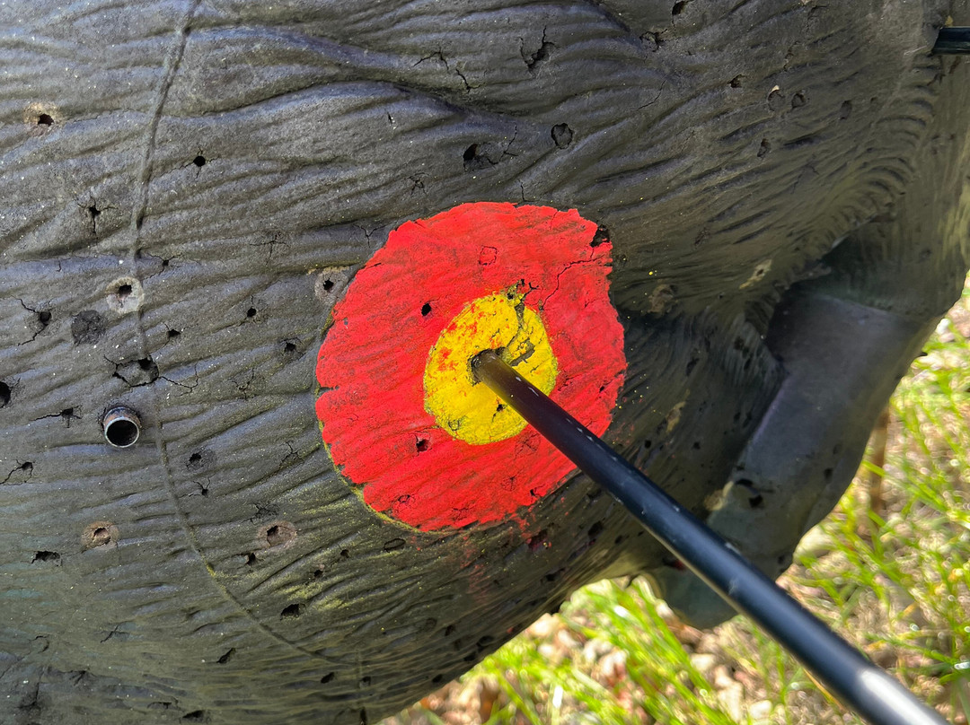 NPF Bassetts Pole Adventure Park-萨顿科尔菲尔德必去景点