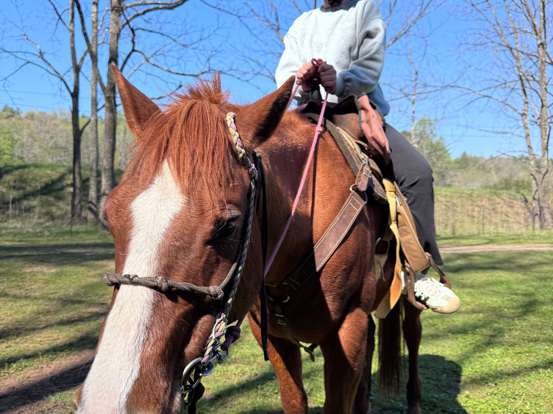 Cowgirl Up Stables-Cherry Log必去景点
