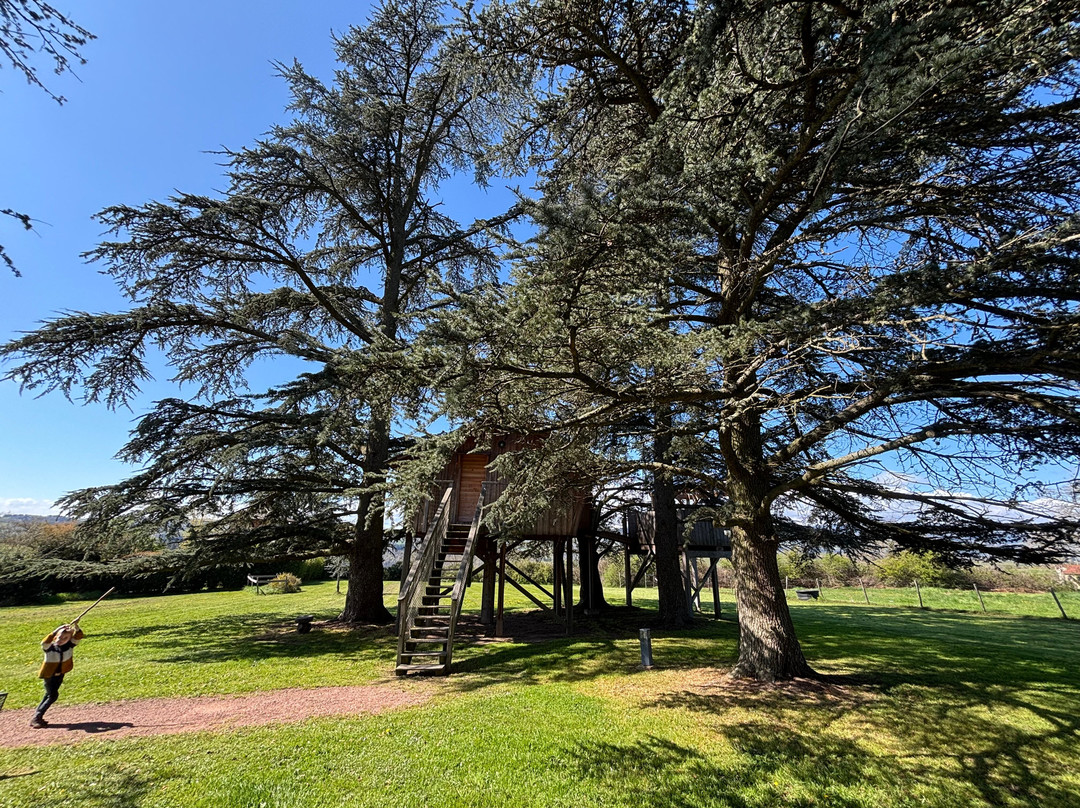 Domaine des Grands Cèdres主图