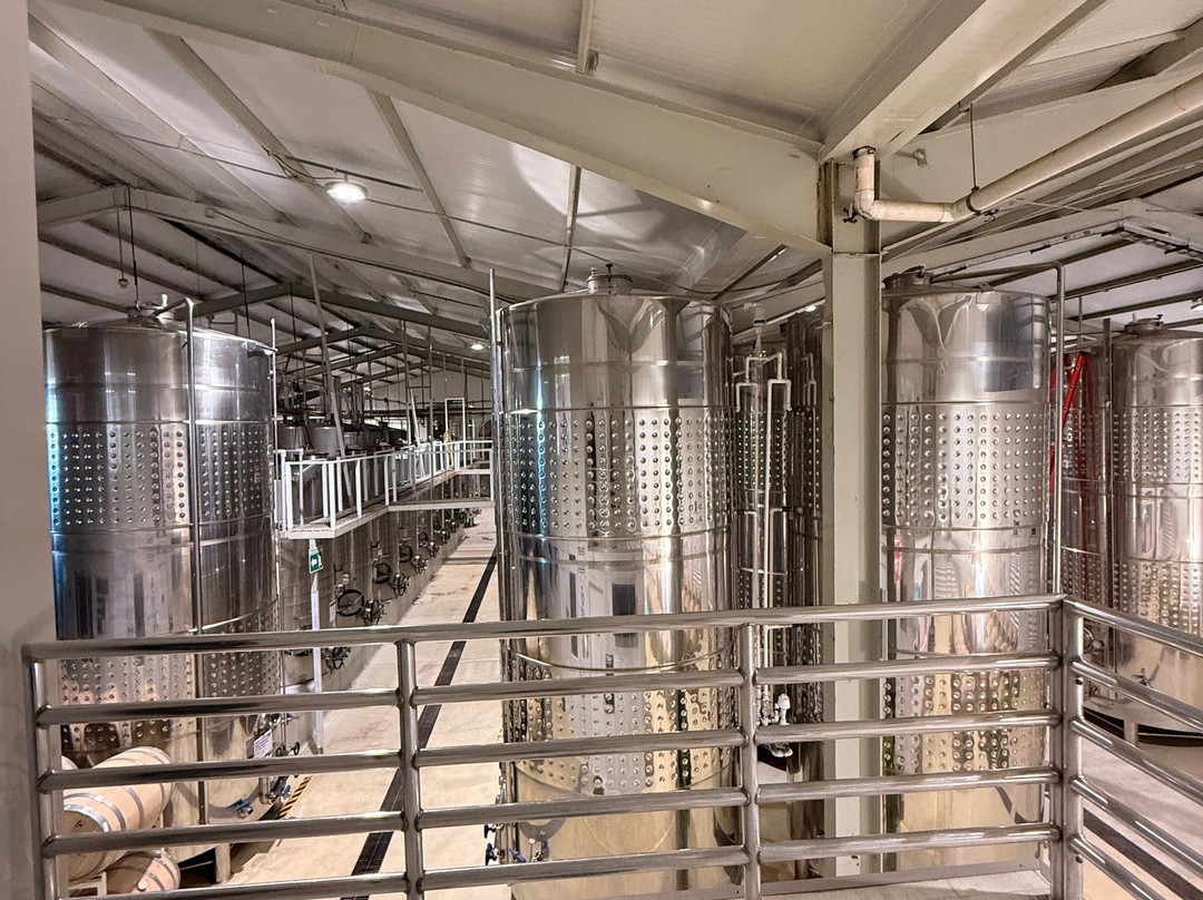 Monte Xanic Bodega Vinícola-Valle de Guadalupe必去景点